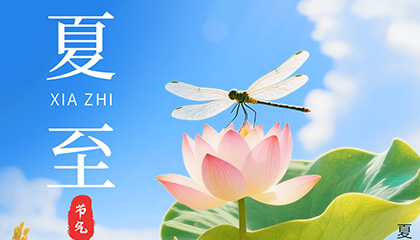 夏至|向阳而生，不负盛夏光阴!