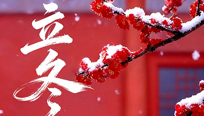 立冬丨愿你温暖顺遂，喜乐安康！